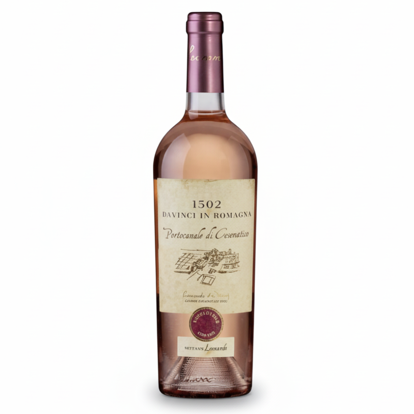 1502 DAVINCI IN ROMAGNA Portocanale di Cesenatico